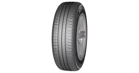 MICHELIN Energy XM2