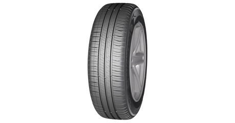 MICHELIN Energy XM2